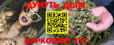 a pvp Гатчина