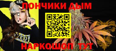 a pvp Гатчина