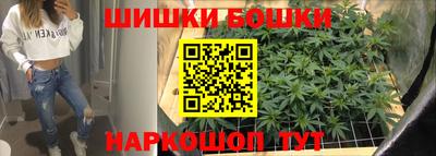 a pvp Гатчина